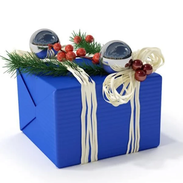 Christmas Present Product Boxes