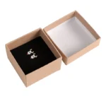 Eco Friendly Earring Boxes