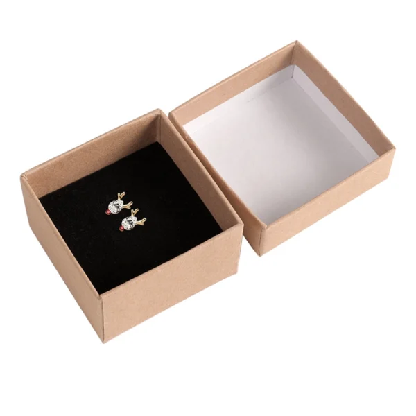 Eco Friendly Earring Boxes