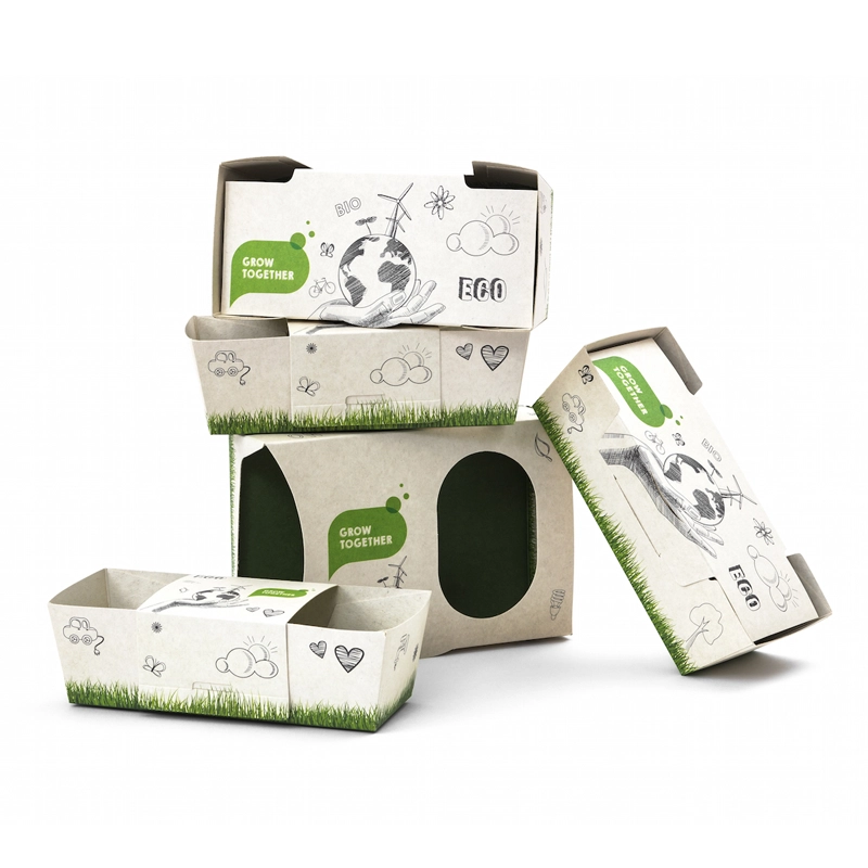 Eco-Friendly Packaging Boxes