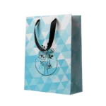Paper Bags with Handles